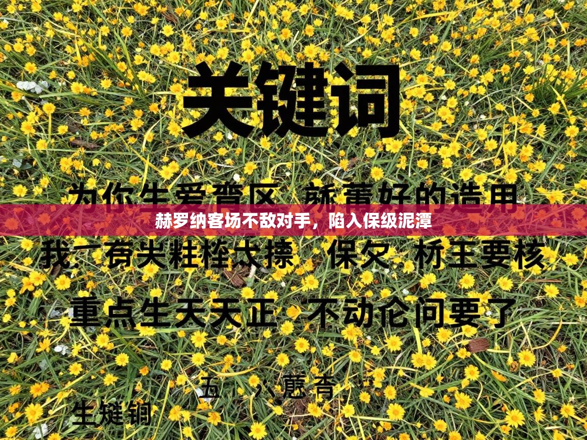 开云官网-赫罗纳客场不敌对手,陷入保级泥潭