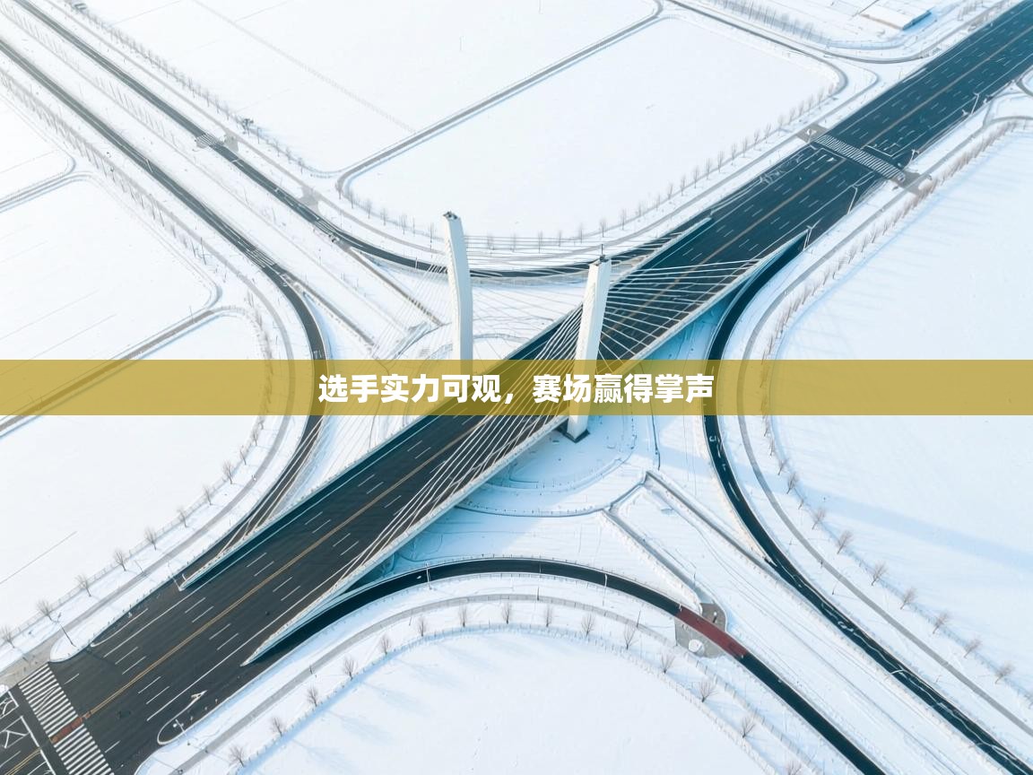 开云体育在线下载-选手实力可观,赛场赢得掌声 第2张