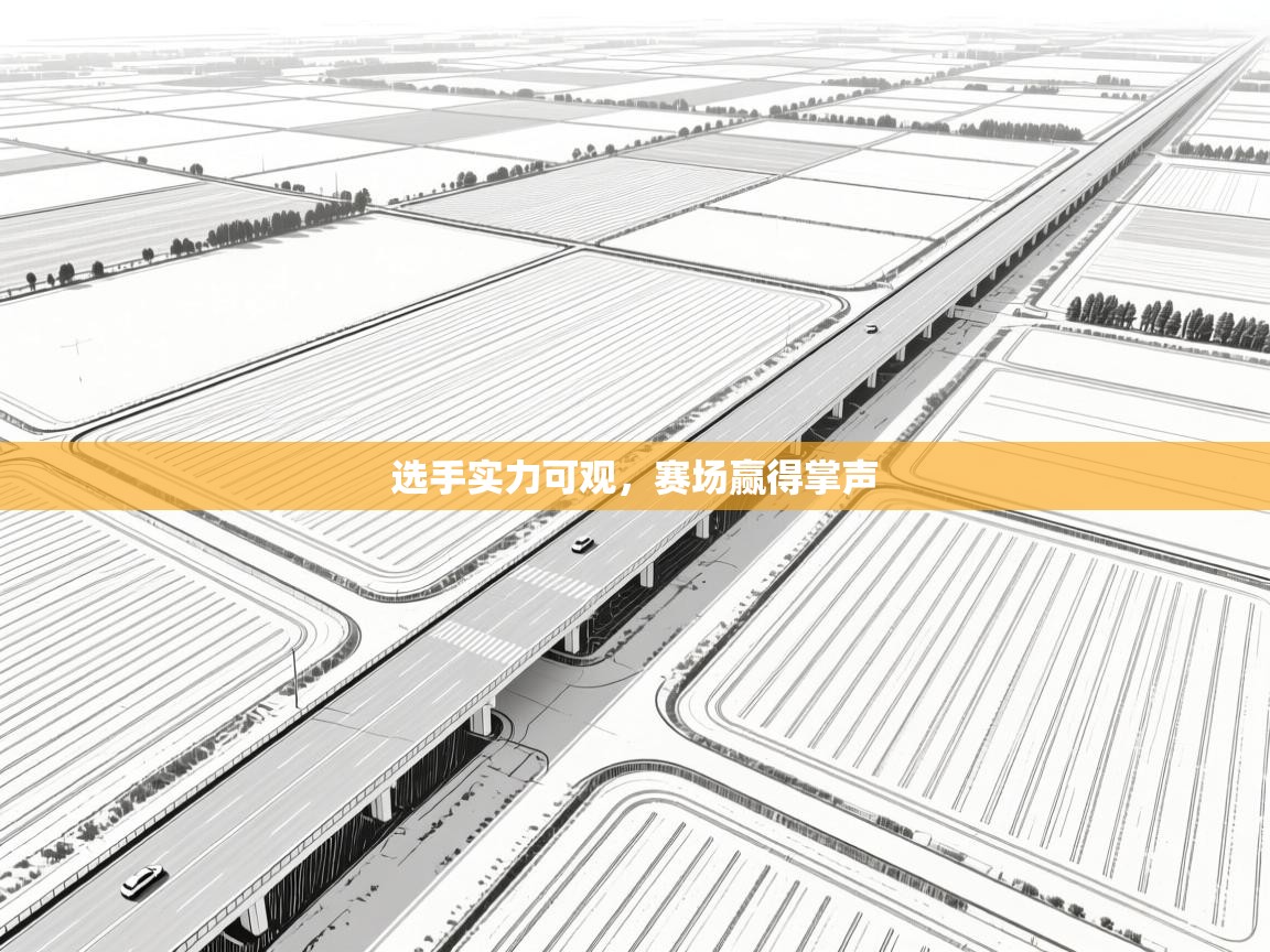 开云体育在线下载-选手实力可观,赛场赢得掌声 第3张