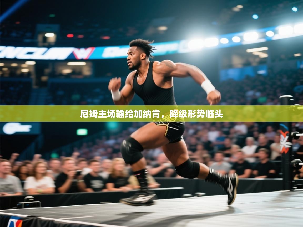 开云体育网络异常修复-尼姆主场输给加纳肯，降级形势临头  第3张